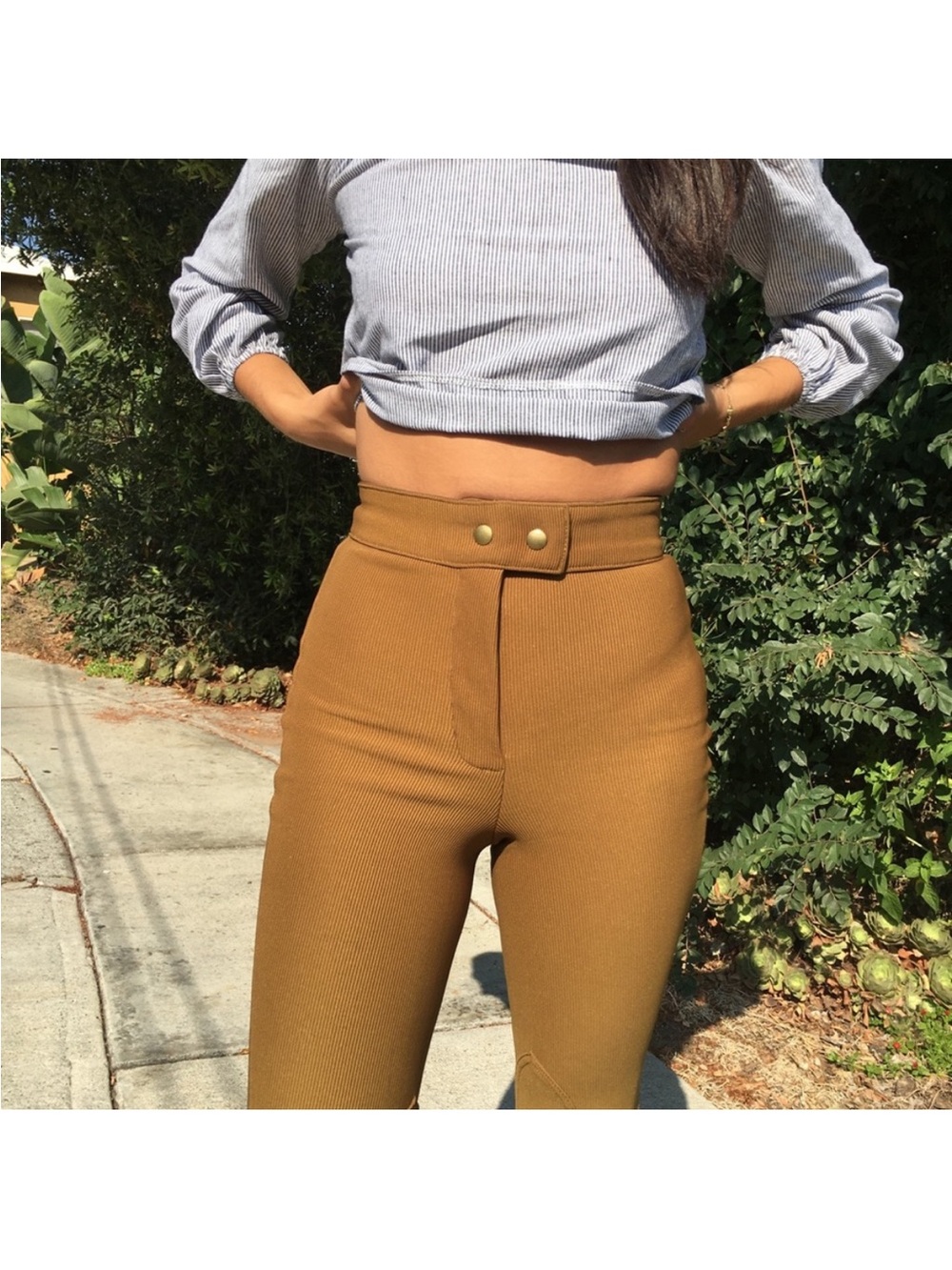 American Apparel Riding Pants in Camel Brown